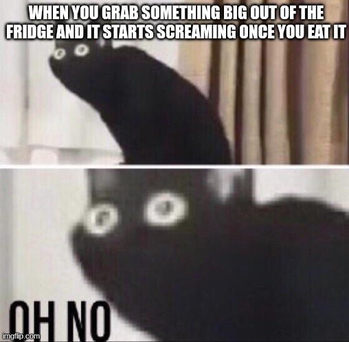 Oh no cat | WHEN YOU GRAB SOMETHING BIG OUT OF THE FRIDGE AND IT STARTS SCREAMING ONCE YOU EAT IT | image tagged in oh no cat | made w/ Imgflip meme maker