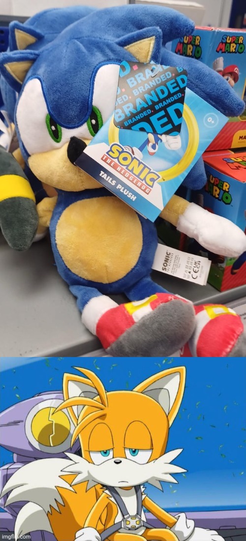 Tails the Hedgehog | image tagged in sad tails,sonic,tails,sonic the hedgehog,memes,you had one job | made w/ Imgflip meme maker