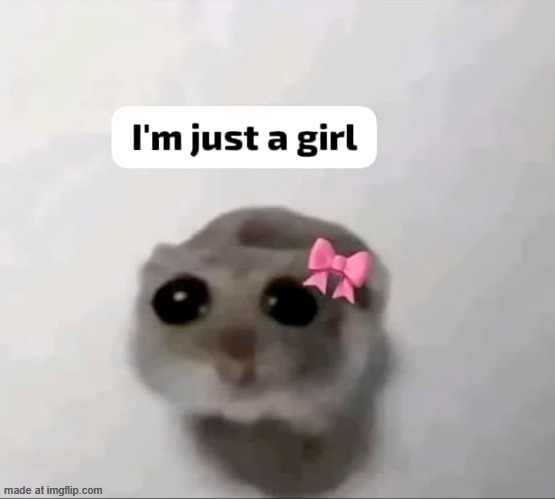 I'm just a girl | image tagged in i'm just a girl | made w/ Imgflip meme maker