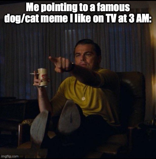 "DOGEEEEE!!!" | Me pointing to a famous dog/cat meme I like on TV at 3 AM: | image tagged in leonardo dicaprio pointing | made w/ Imgflip meme maker