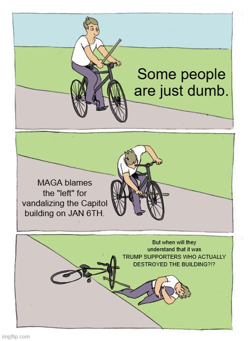 MAGA should admit to their lies.... And kids should be taught centrist/moderate politics | Some people are just dumb. MAGA blames the "left" for vandalizing the Capitol building on JAN 6TH. But when will they understand that it was TRUMP SUPPORTERS WHO ACTUALLY DESTROYED THE BUILDING?!? | image tagged in memes,bike fall | made w/ Imgflip meme maker