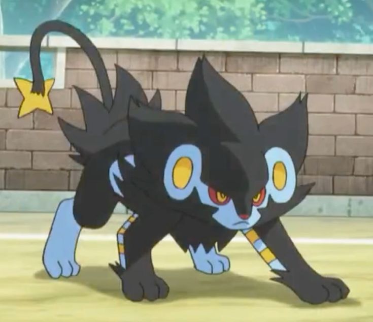 Luxray Blank Meme Template