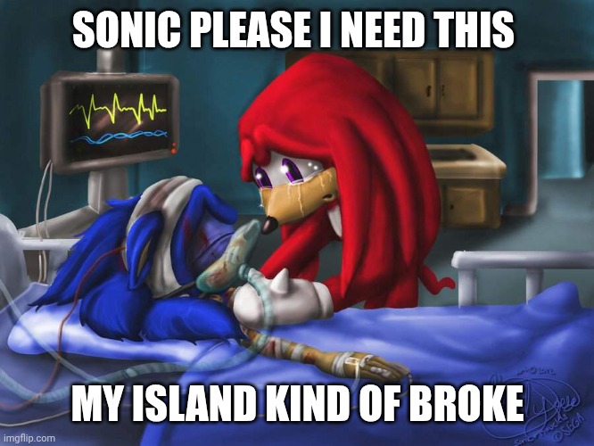 Please sonic i need this | SONIC PLEASE I NEED THIS; MY ISLAND KIND OF BROKE | image tagged in sonic please | made w/ Imgflip meme maker