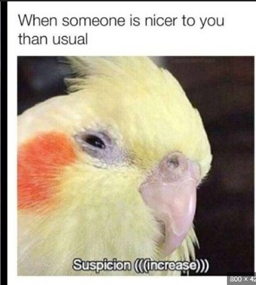 Suspicion Blank Meme Template