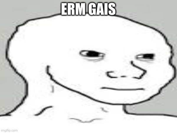 ERM GAIS | made w/ Imgflip meme maker