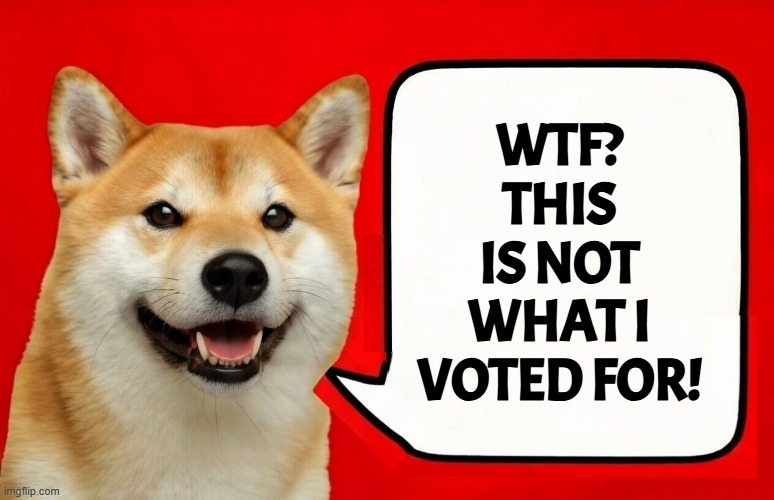 Venezuela, Iran, Cuba, None of this is MAGA! | WTF? THIS IS NOT WHAT I VOTED FOR! | image tagged in maga,america first,israel,iran,cuba,venezuela | made w/ Imgflip meme maker