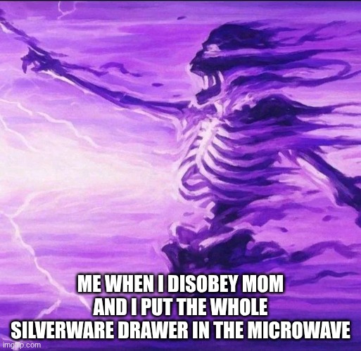 ME WHEN I DISOBEY MOM AND I PUT THE WHOLE SILVERWARE DRAWER IN THE MICROWAVE | made w/ Imgflip meme maker