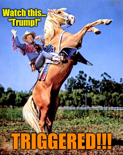 You've been Triggered | Watch this...

"Trump!" TRIGGERED!!! | image tagged in you've been triggered | made w/ Imgflip meme maker