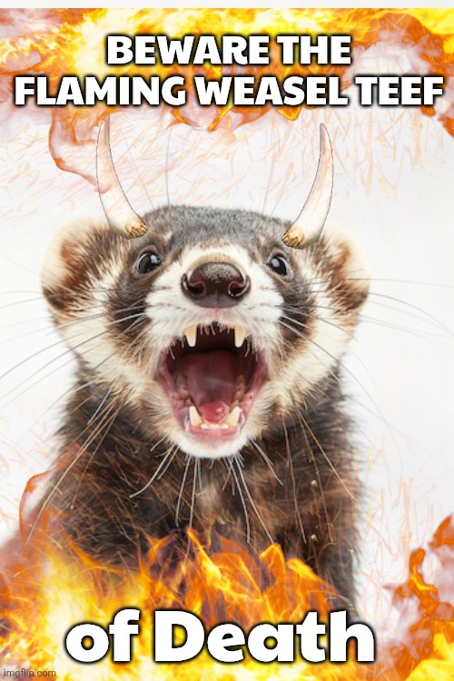 weasel memes | BEWARE THE FLAMING WEASEL TEEF; of Death | image tagged in weasel | made w/ Imgflip meme maker