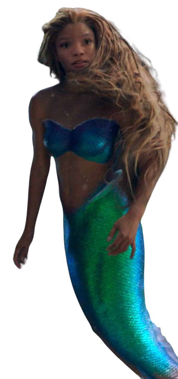 halle ariel Blank Meme Template