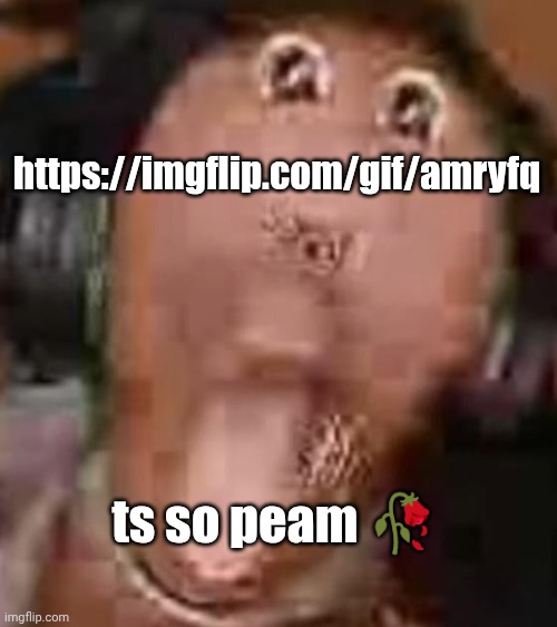 peamplug | https://imgflip.com/gif/amryfq; ts so peam 🥀 | image tagged in velocity | made w/ Imgflip meme maker