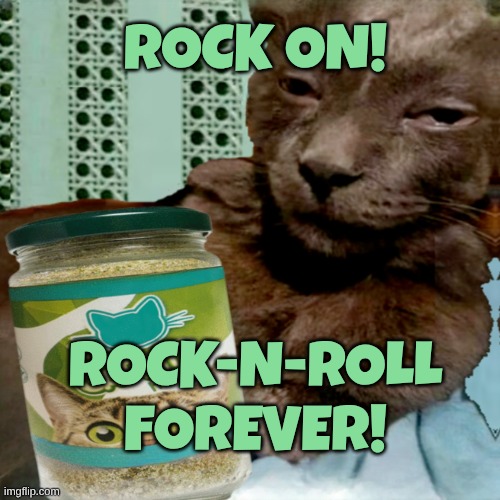 ROCK ON! ROCK-N-ROLL
FOREVER! | image tagged in shit poster 4 lyfe | made w/ Imgflip meme maker
