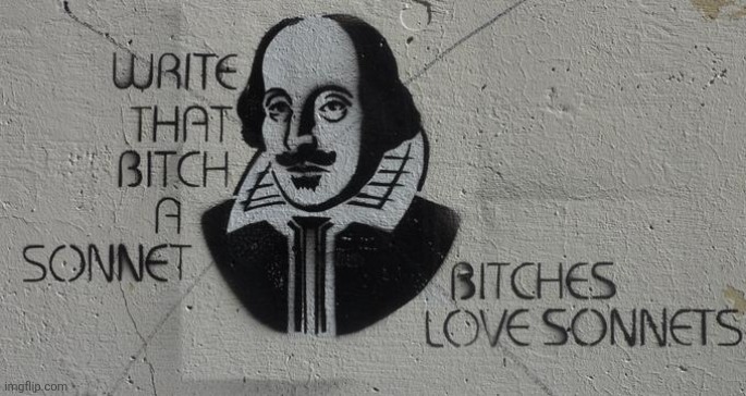 Write that bitch a sonnet | image tagged in bitches be like,sonnet | made w/ Imgflip meme maker