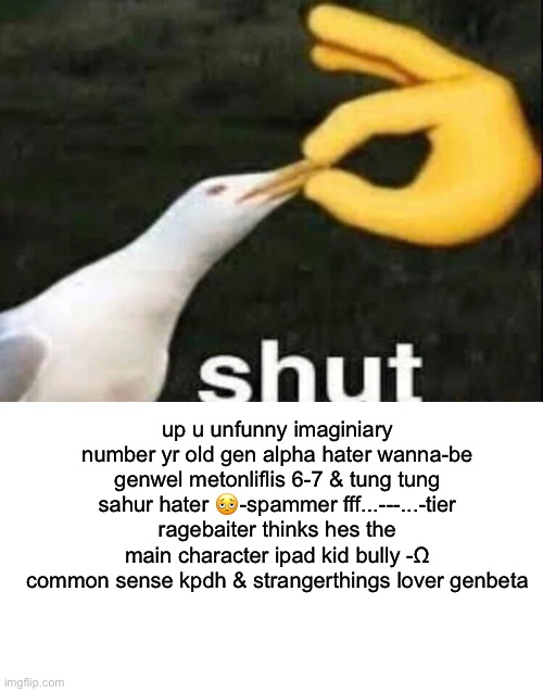 up u unfunny imaginiary number yr old gen alpha hater wanna-be genwel metonliflis 6-7 & tung tung sahur hater 🫩-spammer fff...---...-tier ragebaiter thinks hes the main character ipad kid bully -Ω common sense kpdh & strangerthings lover genbeta | image tagged in shut,blank white template | made w/ Imgflip meme maker