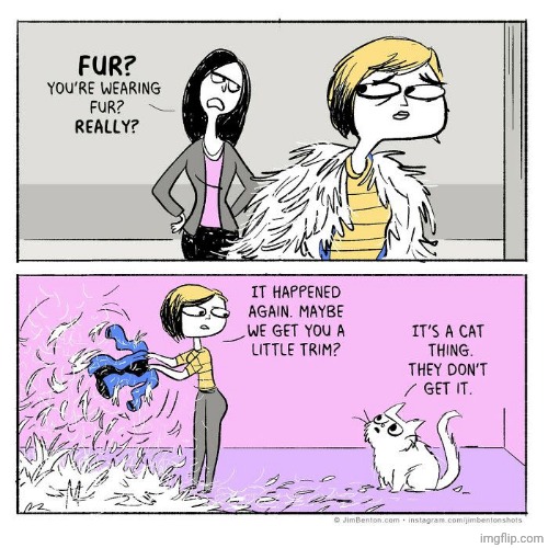Fur | image tagged in fur,jacket,cat,cats,comics,comics/cartoons | made w/ Imgflip meme maker