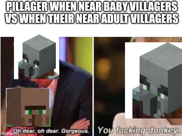 Pillager | PILLAGER WHEN NEAR BABY VILLAGERS VS WHEN THEIR NEAR ADULT VILLAGERS | made w/ Imgflip meme maker
