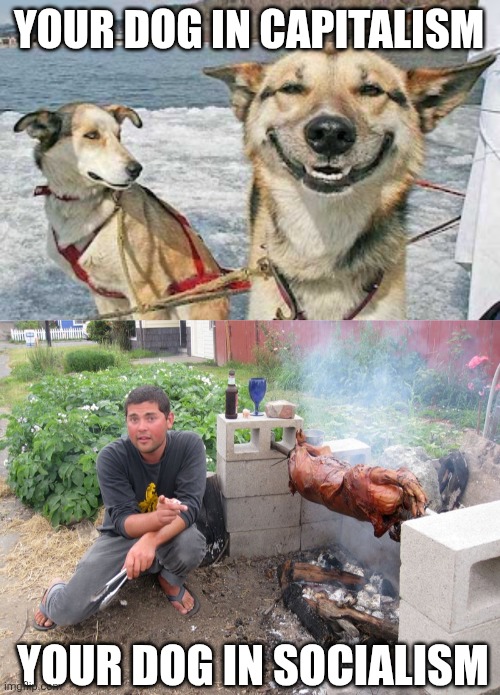 YOUR DOG IN CAPITALISM YOUR DOG IN SOCIALISM | image tagged in memes,original stoner dog,spit roast guy | made w/ Imgflip meme maker