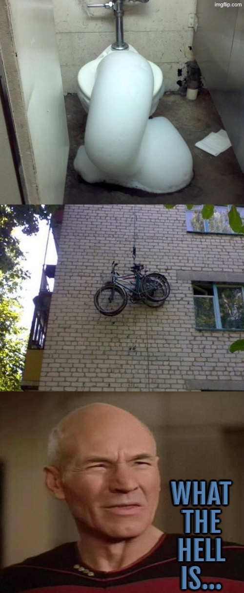 Two Nonsensical Images | WHAT THE HELL IS... | image tagged in dafuq picard,nonsense,what did i just see,excuse me wtf,what in the hot crispy kentucky fried frick,what the hell | made w/ Imgflip meme maker