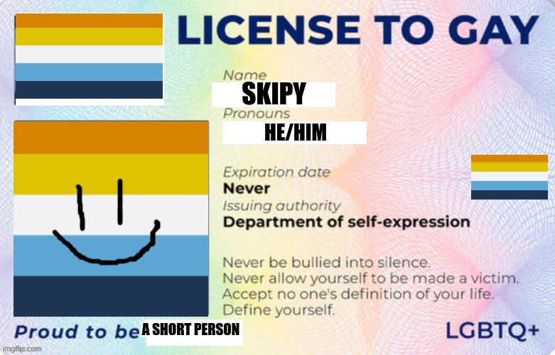 License to Gay | SKIPY; HE/HIM; A SHORT PERSON | image tagged in license to gay | made w/ Imgflip meme maker