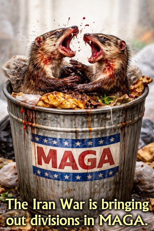 The Iran War is bringing out factions and divisions in MAGA | The Iran War is bringing out divisions in MAGA. | image tagged in the iran war is bringing out factions and divisions in maga,republicans,qanon,maga,fighting,iran | made w/ Imgflip meme maker