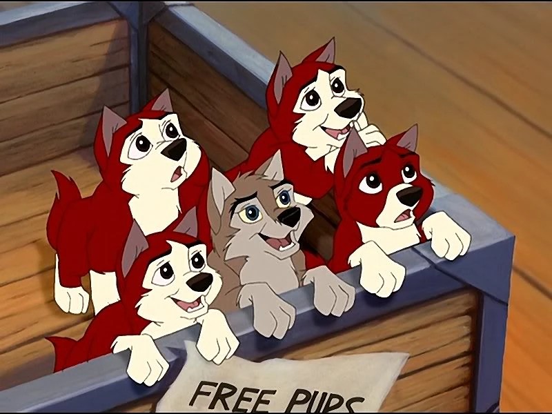 Balto and Jenna's pups prepared for adoption. Blank Meme Template