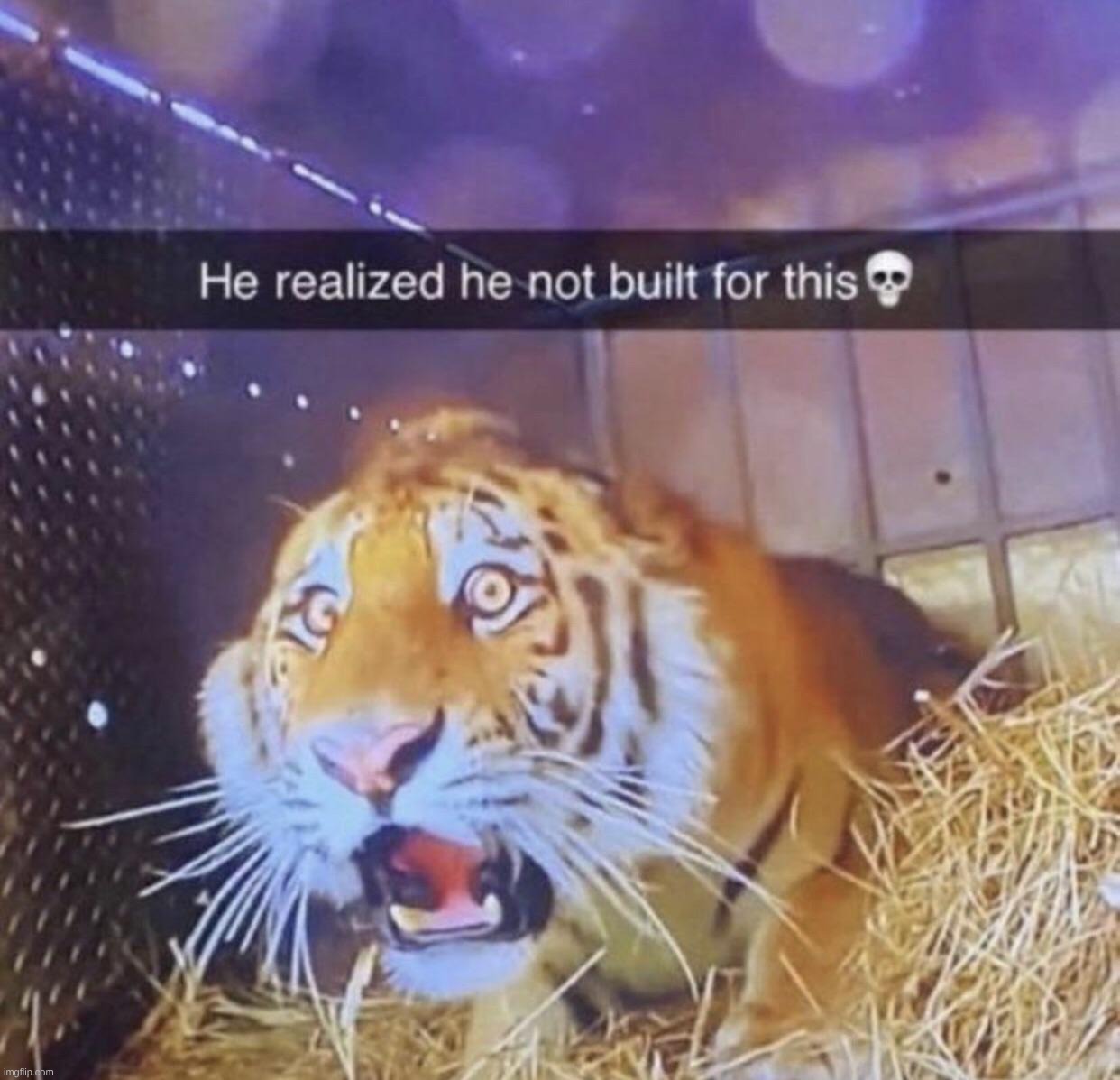 should i start watching jujitsu kaisen or start reading the idw sonic comics | made w/ Imgflip meme maker