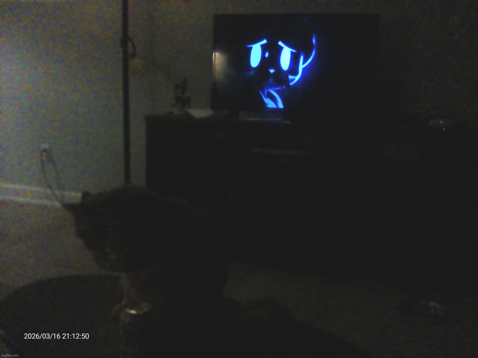 Rewatching murder drones with my cat johnny cash | made w/ Imgflip meme maker