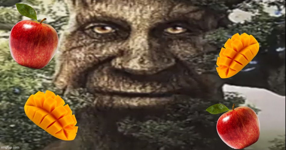 stream mood: | image tagged in wise mystical tree | made w/ Imgflip meme maker