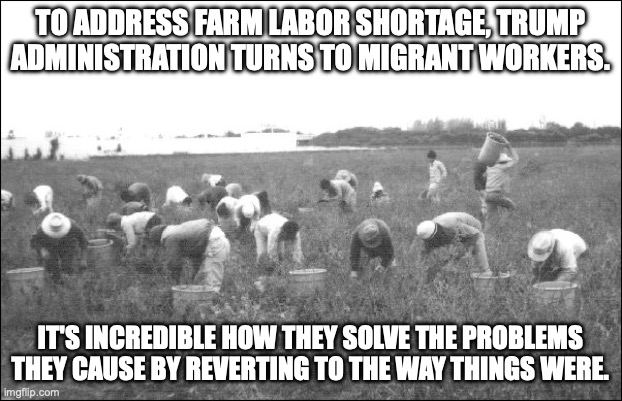 ICE will just work as a secret police to take down American citizens instead of actually going after immigrants | TO ADDRESS FARM LABOR SHORTAGE, TRUMP ADMINISTRATION TURNS TO MIGRANT WORKERS. IT'S INCREDIBLE HOW THEY SOLVE THE PROBLEMS THEY CAUSE BY REVERTING TO THE WAY THINGS WERE. | image tagged in farm workers stealing jobs from americans,donald trump,taco,trump unfit unqualified dangerous,flip flops | made w/ Imgflip meme maker