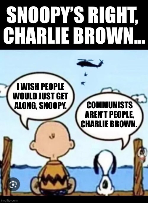 They don’t value innocent life like normal people do | SNOOPY’S RIGHT, 
CHARLIE BROWN… | image tagged in anti communists,charlie brown,snoopy,communists arent people,inhuman | made w/ Imgflip meme maker