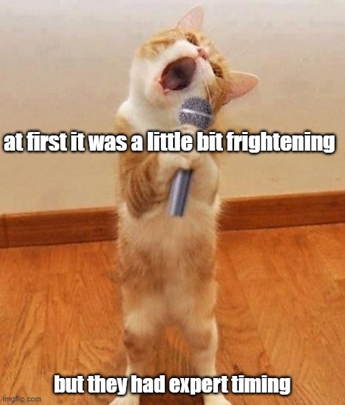 at first it was a little bit frightening but they had expert timing | image tagged in happy birthday day maureeeennn from the singing cat | made w/ Imgflip meme maker