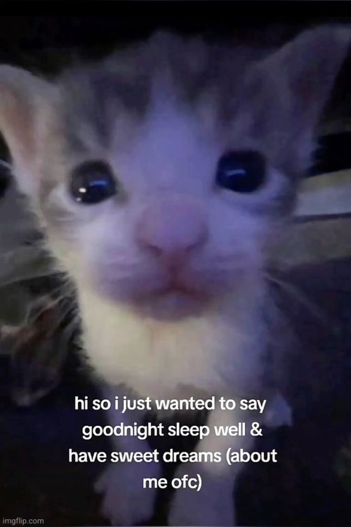 gn chat, love you guys | made w/ Imgflip meme maker