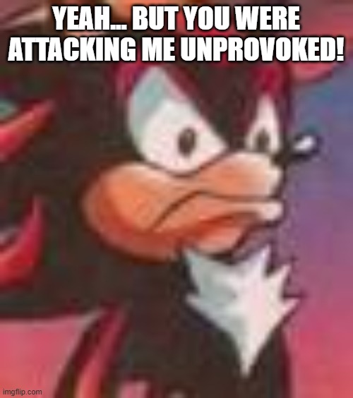 Shadow the Hedgehog | YEAH... BUT YOU WERE ATTACKING ME UNPROVOKED! | image tagged in shadow the hedgehog | made w/ Imgflip meme maker