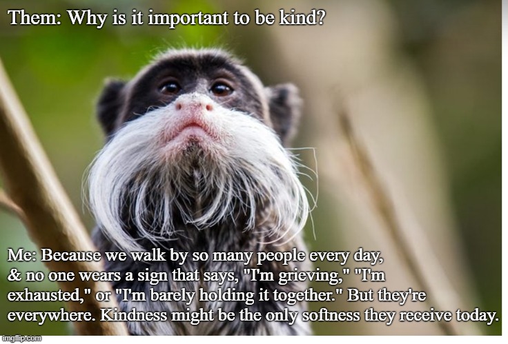 Kindness | Them: Why is it important to be kind? Me: Because we walk by so many people every day, & no one wears a sign that says, "I'm grieving," "I'm exhausted," or "I'm barely holding it together." But they're everywhere. Kindness might be the only softness they receive today. | image tagged in animals | made w/ Imgflip meme maker