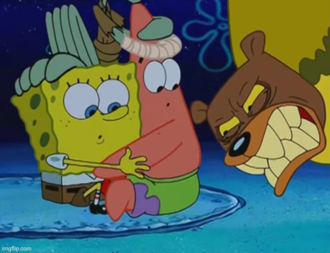 Sea Bear | image tagged in sea bear | made w/ Imgflip meme maker