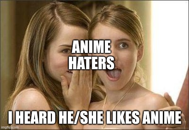 This is so annoying to meet people like this | ANIME HATERS; I HEARD HE/SHE LIKES ANIME | image tagged in i heard he | made w/ Imgflip meme maker