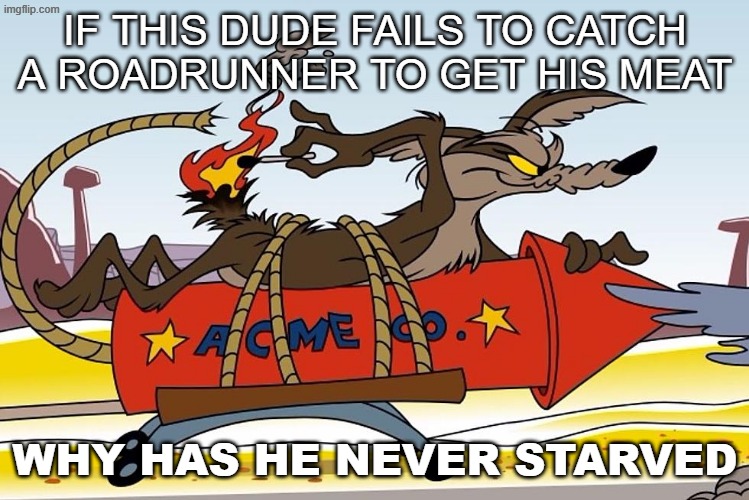 This is a question a user asked | IF THIS DUDE FAILS TO CATCH A ROADRUNNER TO GET HIS MEAT; WHY HAS HE NEVER STARVED | image tagged in wile e coyote | made w/ Imgflip meme maker