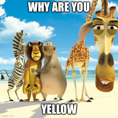 Kid me to frisk | WHY ARE YOU; YELLOW | image tagged in why are you white | made w/ Imgflip meme maker