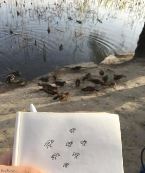 image tagged in bird,shitpost | made w/ Imgflip meme maker