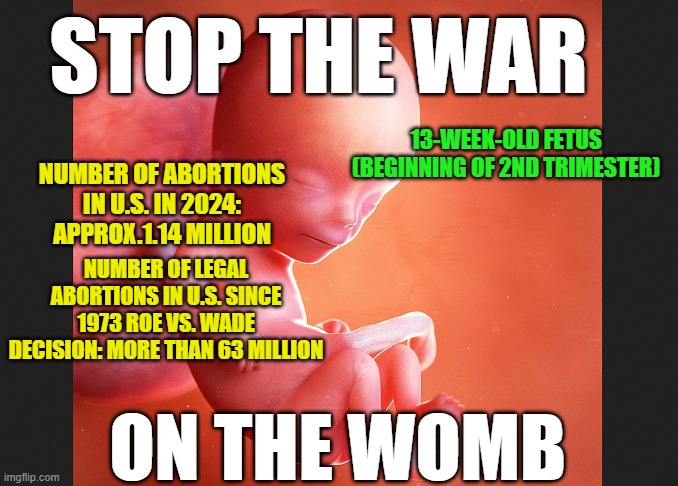 Meanwhile, a Different War Rages On | STOP THE WAR; 13-WEEK-OLD FETUS (BEGINNING OF 2ND TRIMESTER); NUMBER OF ABORTIONS IN U.S. IN 2024: APPROX.1.14 MILLION; NUMBER OF LEGAL ABORTIONS IN U.S. SINCE 1973 ROE VS. WADE DECISION: MORE THAN 63 MILLION; ON THE WOMB | image tagged in stop the war,abortion | made w/ Imgflip meme maker