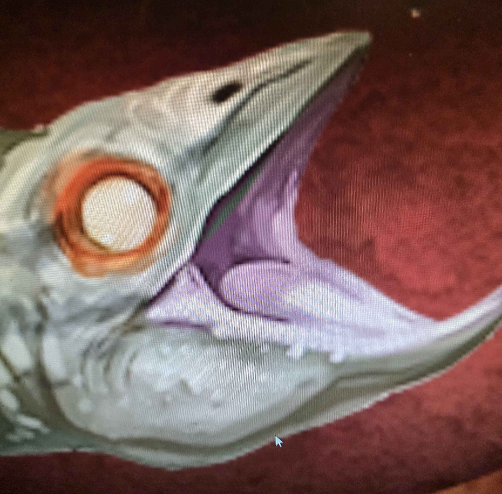 Excited Fish Blank Meme Template