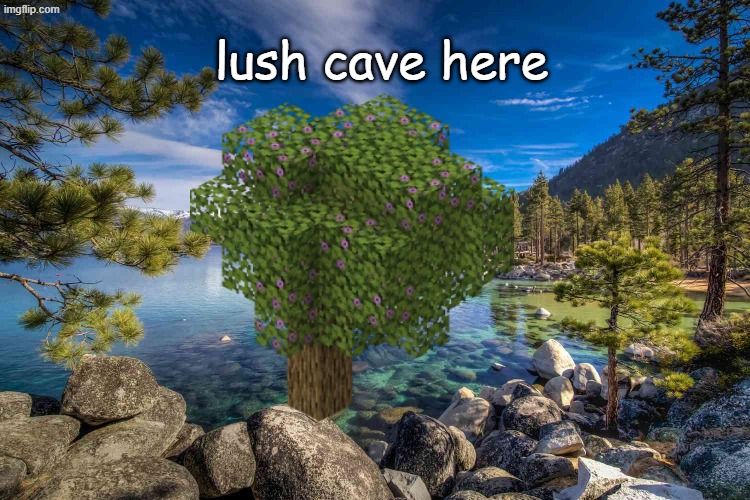 Guys i cant wait to find the lush cave | lush cave here | image tagged in lush cave,lush cave here,funny,gooned to ts | made w/ Imgflip meme maker