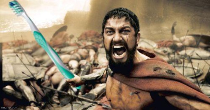 Leonidas Toothbrush | image tagged in leonidas toothbrush | made w/ Imgflip meme maker