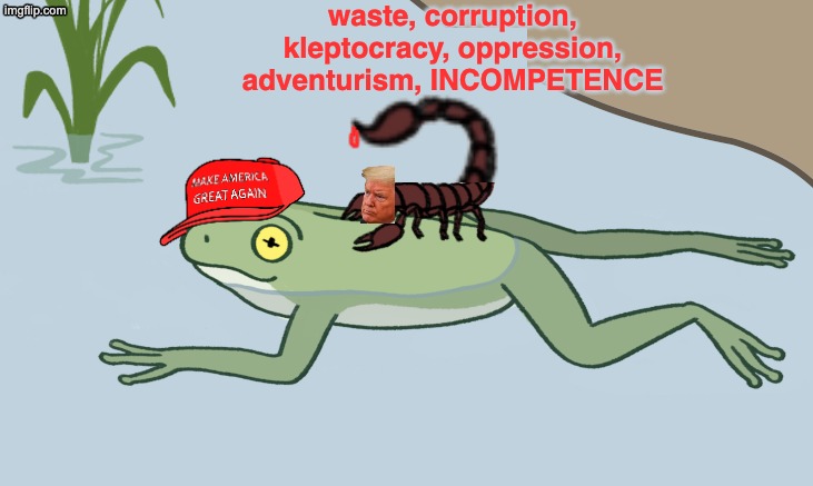 He told us who he was from the start | waste, corruption, kleptocracy, oppression, adventurism, INCOMPETENCE | image tagged in frog and scorpion,trump,idiocracy | made w/ Imgflip meme maker