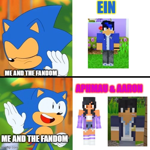 MY REACTION | EIN; ME AND THE FANDOM; APHMAU & AARON; ME AND THE FANDOM | image tagged in sonic mania | made w/ Imgflip meme maker