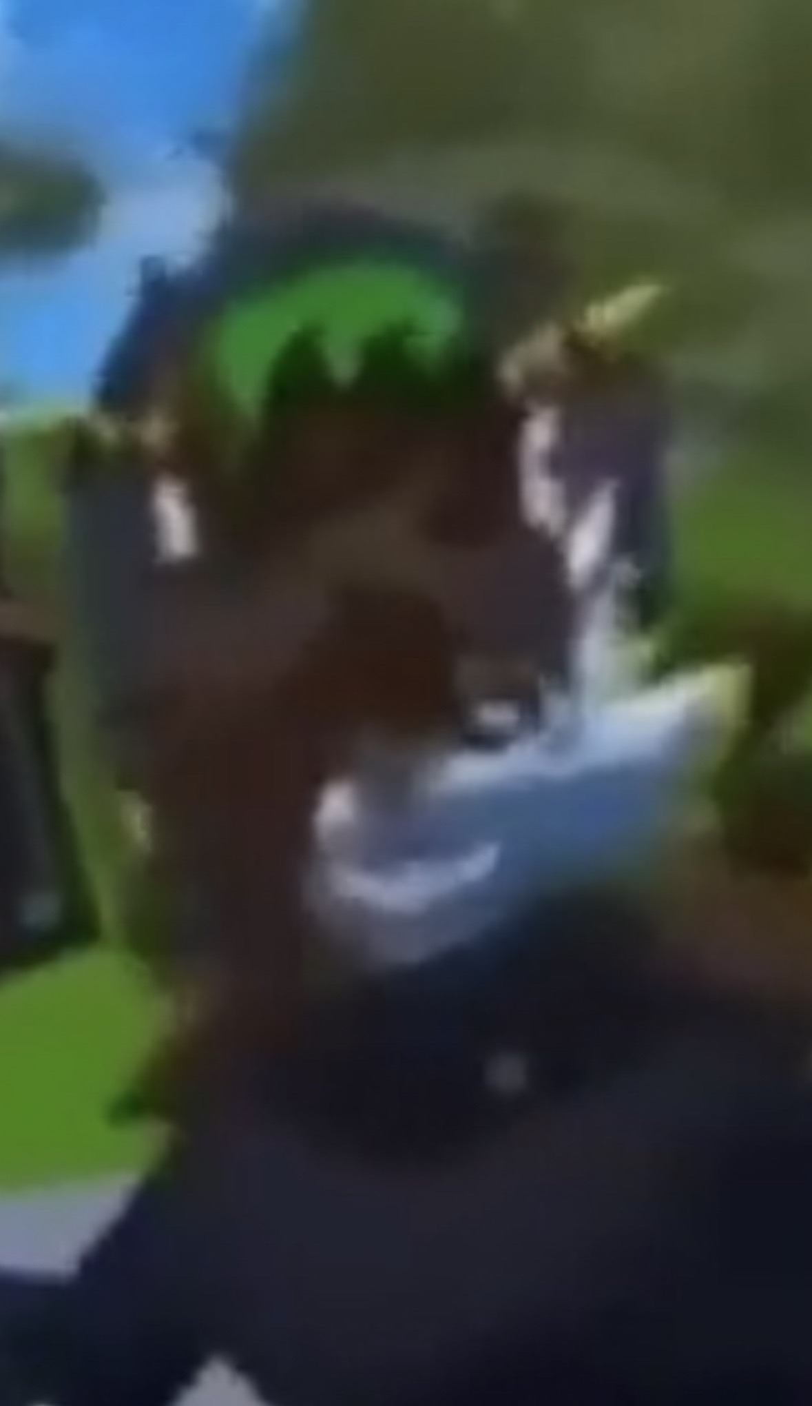 Balls Blank Meme Template