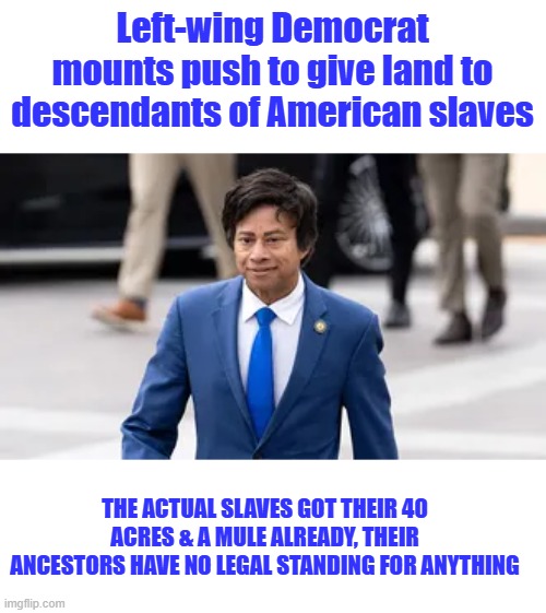 This is why non US born clucks should never be in any US gov position. . | Left-wing Democrat mounts push to give land to descendants of American slaves; THE ACTUAL SLAVES GOT THEIR 40 ACRES & A MULE ALREADY, THEIR ANCESTORS HAVE NO LEGAL STANDING FOR ANYTHING | made w/ Imgflip meme maker