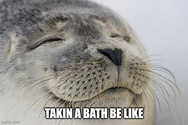 Bath time | TAKIN A BATH BE LIKE | image tagged in memes,satisfied seal | made w/ Imgflip meme maker