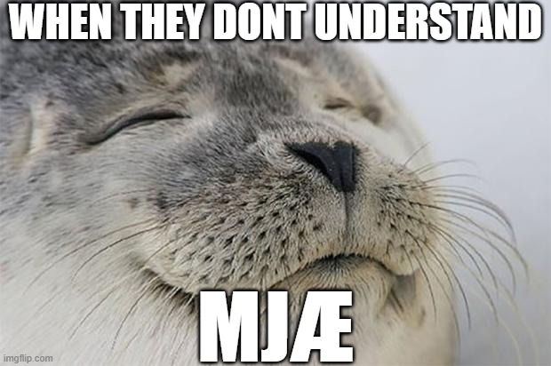 yes | WHEN THEY DONT UNDERSTAND; MJÆ | image tagged in memes,satisfied seal | made w/ Imgflip meme maker