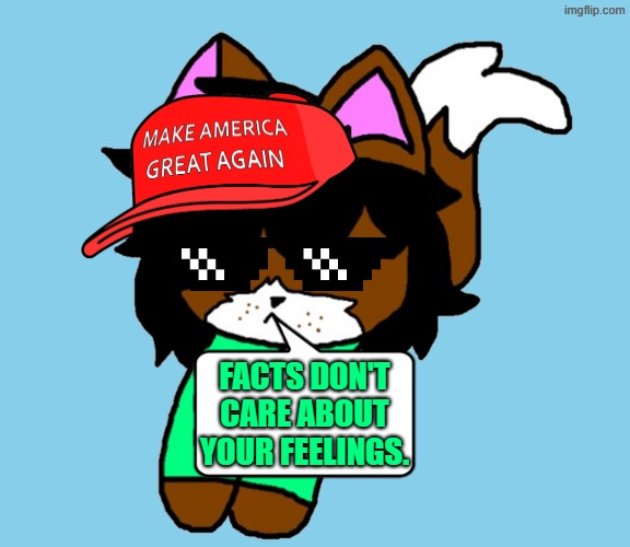 Facts Don’t Care About Your Feelings. | FACTS DON'T CARE ABOUT YOUR FEELINGS. | image tagged in shoulder victoria,memes,facts,don't,feelings,cat | made w/ Imgflip meme maker